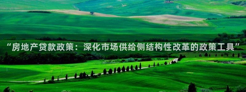 和记集团官网：“房地产贷款政策：深化市场供给侧结构性改革的政