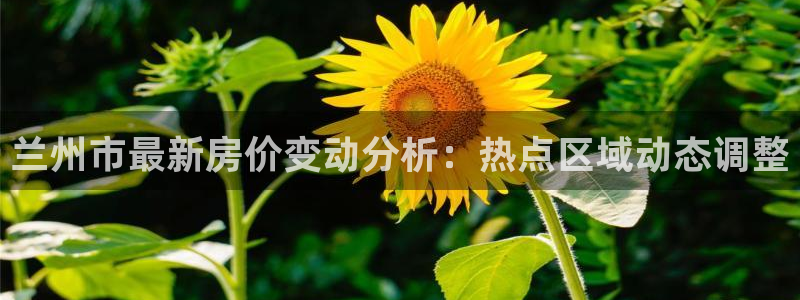 和记怡情视频在线官网：兰州市最新房价变动分析：热点区域动态调