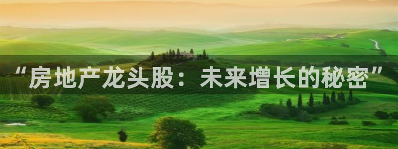 和记火爆官网：“房地产龙头股：未来增长的秘密”