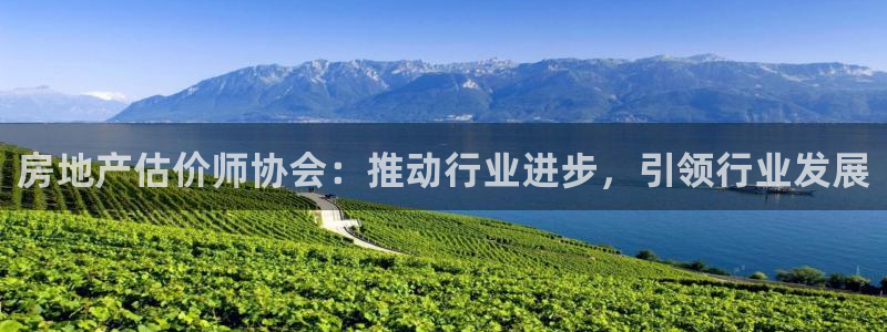 菲律宾和记官网：房地产估价师协会：推动行业进步，引领行业发展