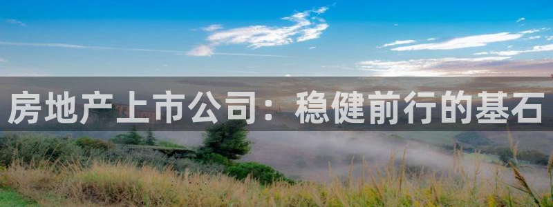 下载和记官网：房地产上市公司：稳健前行的基石