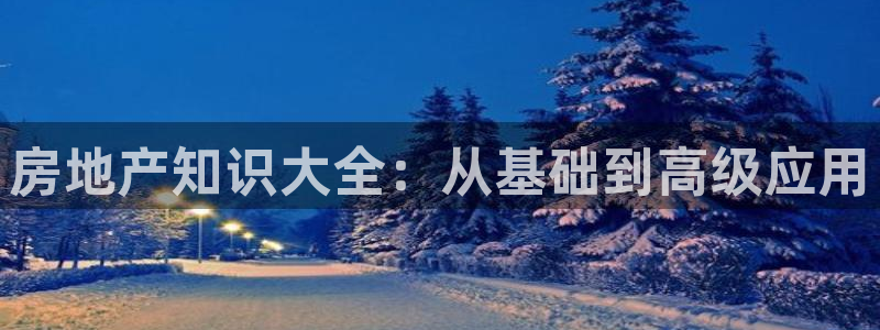 和记黄埔m 官网：房地产知识大全：从基础到高级应用