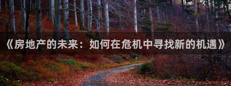 香港和记隆官网：《房地产的未来：如何在危机中寻找新的机遇》