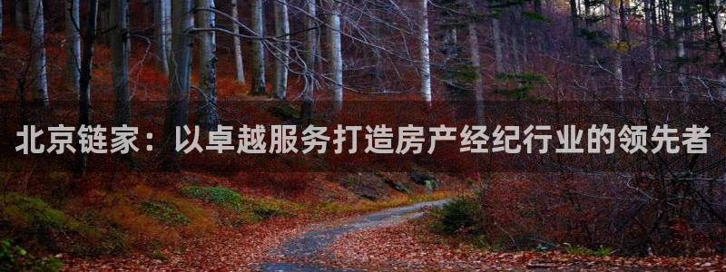 和记娱乐怡情博官网：北京链家：以卓越服务打造房产经纪行业的领