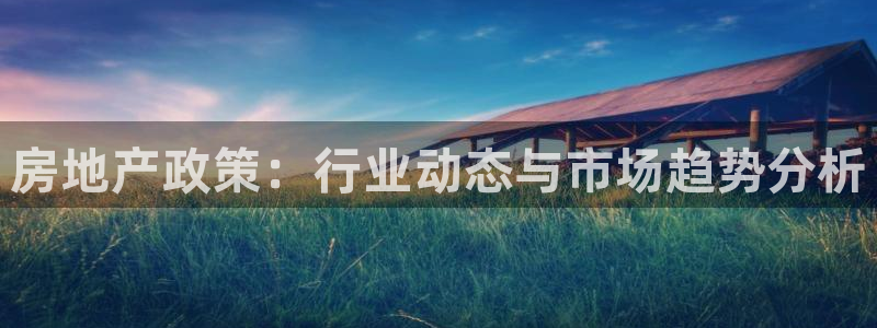 和记娱乐app官网：房地产政策：行业动态与市场趋势分析