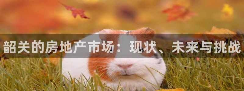 和木记官网：韶关的房地产市场：现状、未来与挑战